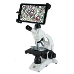 Product image for BTI1-440T-440PLL