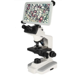 Product image for BTI2-169-P