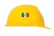 Accuform LHTL379 Hard Hat/Helmet Stickers: Mexican Flag (4)