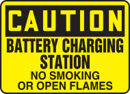 Accuform MELC640VP OSHA Caution Safety Sign: Battery Charging Station No Smoking or Open Flames (0)