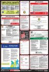 Accuform PPG300AZ 40" x 27" OSHA Safety Poster: Combo State, Federal & OSHA Labor Law Poster Arizona (1)