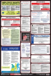 Accuform PPG300RI 40" x 27" OSHA Safety Poster: Combo State, Federal & OSHA Labor Law Poster Rhode Island (0)