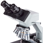 AmScope B100-MS B100 Series Biological Binocular Compound Microscope with 20W Halogen, Mechanical Stage and Optional Digital Camera (3)
