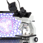 AmScope B100B B100 Series Biological Binocular Compound Microscope 40X-2000X Magnification With LED Light (7)