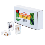 AmScope INST-3D-1 3D Real Fly Insect Specimen 3PC Kit W/ Butterfly, Fly and Honeybee (0)