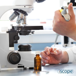 AmScope IS1152-PLI Euromex iScope Binocular Compound Microscope 40X-1000X Magnification with Plan IOS Objectives (3)