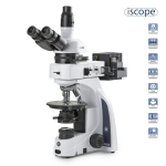 AmScope IS1053-PLPOLRI Euromex iScope Series Polarization Trinocular Compound Microscope 50X-400X Magnification (0)