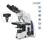 AmScope IS1152-PLI Euromex iScope Binocular Compound Microscope 40X-1000X Magnification with Plan IOS Objectives (7)