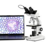 AmScope B100B B100 Series Biological Binocular Compound Microscope 40X-2000X Magnification With LED Light (4)