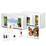 AmScope SE306R-BKI-INST Student Stereo Microscope 20X-40X Magnification w/ Premium 9pc 3D Insect Specimen Kit, Nat Geo Insect Book and Optional Camera (4)