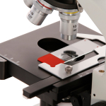 AmScope BS-FSIL50-R 50pc Blank Silane Slides with Single Frosted, Red-Coated Side (2)