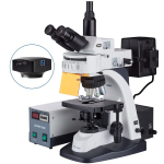 AmScope FM800TC FM800 30W Infinity Plan Extreme Widefield EPI-Fluorescent Trinocular Compound Microscope 40X-1000X Magnification w/ Five Wave Bands (6)