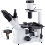 AmScope IN300TC-8M IN300 Series Inverted Phase-Contrast Biological Trinocular Compound Microscope 40X-1000X Magnification w/ 30W Halogen and 8MP USB 2.0 C-mount Camera (2)