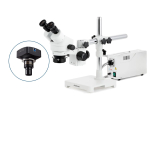 AmScope SM-3BZ-FOR-M SM-3 Series Zoom Binocular Stereo Microscope 3.5X-90X w/ 150W Halogen Ring Light and 1.3MP USB 2.0 C-mount Camera on Single Arm Boom Stand (3)