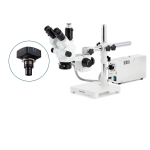 AmScope SM-3NTPX-FOD-8M SM-3 Series Simul-Focal Lockable Zoom Trinocular Stereo Microscope 3.5X-45X w/ 150W Halogen Dual Gooseneck Lights and 8MP USB 2.0 C-mount Camera on Single Arm Boom Stand (3)