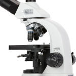 AmScope T530B-14M3 Biological Compact Base Trinocular Compound Microscope 40X-2000X Magnification w/ 20W Halogen Kohler Illumination, 3D Mechanical Stage and 14MP USB 3.0 C-mount Camera (6)