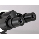 AmScope B340C-LED-3M3 B340 Series Student and Professional Siedentopf Binocular Compound Microscope 40X-2500X w/ 3W LED, 3D Mechanical Stage and 3MP USB 3.0 C-mount Camera (9)