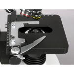 AmScope B340C-LED-3M3 B340 Series Student and Professional Siedentopf Binocular Compound Microscope 40X-2500X w/ 3W LED, 3D Mechanical Stage and 3MP USB 3.0 C-mount Camera (10)