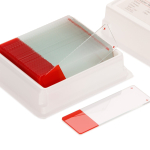 AmScope BS-FSIL50-R 50pc Blank Silane Slides with Single Frosted, Red-Coated Side (3)