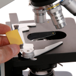 AmScope BS-FSIL50-Y 50pc Blank Silane Slides with Single Frosted, Yellow-Coated Side (2)