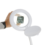 AmScope MAGLED-8098-2-A 1.75X Magnification 5" Diameter Lens 60 LED Desktop Magnifying Lamp (3)