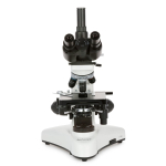 AmScope T530B-M Biological Compact Base Trinocular Compound Microscope 40X-2000X Magnification w/ 20W Halogen Kohler Illumination, 3D Mechanical Stage and 1.3MP USB 2.0 C-mount Camera (8)