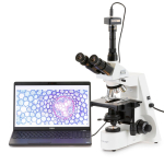 AmScope T690-PL-DK-6MBI3 T690 Infinity Plan Darkfield Trinocular Compound Microscope 40X-1000X Magnification w/ 20W Halogen Kohler Illumination and 6.3MP Back-Lit USB 3.0 Camera (4)