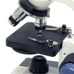 AmScope M150C-E1 M150 Series Portable Student Monocular Compound Microscope 40X-1000X Magnification with LED and 1MP USB Eyepiece Camera (2)