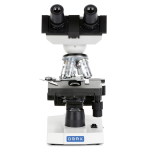 AmScope M82ES OMAX M82E Series Binocular Biological Compound Microscope 40X-2000X Magnification Lab LED with Mechanical Stage (5)