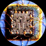 AmScope SW24BY 20X-60X Super Widefield Stereo Binocular Microscope Head (4)