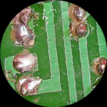 AmScope SW24B 20X-40X Super Widefield Stereo Binocular Microscope Head (3)