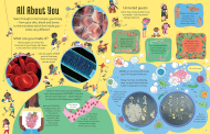 AmScope BK-SIWM See Inside The Microscopic World - An Usborne Flap Book (2)