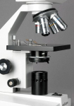 AmScope B100 B100 Series Biological Binocular Compound Microscope With 20W Halogen and Optional Digital Camera (4)
