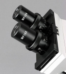 AmScope B100 B100 Series Biological Binocular Compound Microscope With 20W Halogen and Optional Digital Camera (6)