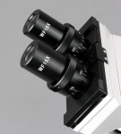 AmScope B100-E1 B100 Series Biological Binocular Compound Microscope 40X-1000X Magnification with Halogen and 1MP USB Digital Eyepiece Camera (5)