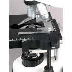 AmScope B690-PL-8M Binocular Compound Microscope 40X-1000X Magnification w/ Koehler Illumination, Plan Optics and 8MP USB 2.0 C-mount Camera (7)