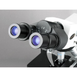AmScope B690-PL-8M Binocular Compound Microscope 40X-1000X Magnification w/ Koehler Illumination, Plan Optics and 8MP USB 2.0 C-mount Camera (8)