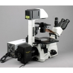 AmScope IN480TC-FL-20MBI3 IN480 Series Inverted Infinity-Corrected Fluorescence Trinocular Compound Microscope 40X-1500X w/ Kohler Illumination and 20MP Back-illuminated CMOS USB 3.0 Camera (2)