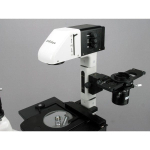 AmScope IN480TC-FL-20MBI3 IN480 Series Inverted Infinity-Corrected Fluorescence Trinocular Compound Microscope 40X-1500X w/ Kohler Illumination and 20MP Back-illuminated CMOS USB 3.0 Camera (5)