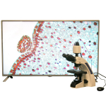 AmScope T720-HD18 T720 Series Laboratory Plan Infinity Kohler Trinocular Compound Microscope 40X-1000X Magnification with 1080 HDMI Camera (0)