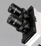 AmScope B100-SP14-CLS-50P100S-WM-E B100 Series Biological Binocular Compound Microscope 40X-1000X Magnification with Halogen, Slide Making Kit, Book and 1MP Digital Eyepiece (4)