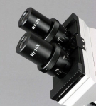 AmScope B100B-MS-SP14-CLS-50P100S-E5 B100 Series Biological Binocular Compound Microscope 40X-2000X Magnification with Halogen, Mech. Stage, Slide Making Kit and 5MP Digital Eyepiece (3)
