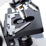 AmScope B120C-WM-PS25-E3 B120 Series Binocular Compound Microscope 40X-2500X Magnification with LED, Siedentopf Head, 25 Prepared Slides, Book and 3MP Digital Camera (1)