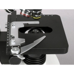 AmScope B340-DK-LED-E2 B340 Series Darkfield Binocular Compound Microscope 40X-1000X Magnification w/ 3W LED, 2MP Camera and 3D Mechanical Stage (6)