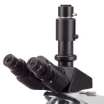 AmScope T490C-DKO-IRIS-12MBI3 T490 Series Darkfield Trinocular Compound Microscope 40X-2500X Magnification with 20W Halogen, 12MP USB 3.0 Camera (4)