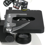 AmScope T340B-5M T340 Series Siedentopf Trinocular Compound Microscope 40X-2000X Magnification with 5MP Digital Camera (3)