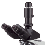 AmScope T490 T490 Series Simul-Focal Biological Trinocular Compound Microscope with Optional Digital Camera (7)