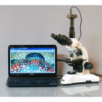 AmScope T530B 40X-2000X Laboratory Trinocular Biological Compound Microscope (5)