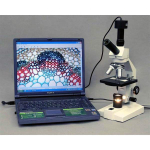 AmScope D100C-MS-E3 D100 Series Dual-View Monocular Compound Microscope 40X-1000X Magnification w/ 20W Halogen Light, Mechanical Caliper and 3MP Digital Camera (5)