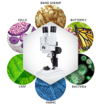 AmScope SE102LED-STMP-TW IQCrew Kid's SE102 Series Deluxe Binocular Stereo Microscope 20X-50X on Track Stand w/ Worldwide Postage Stamp Collecting (5)